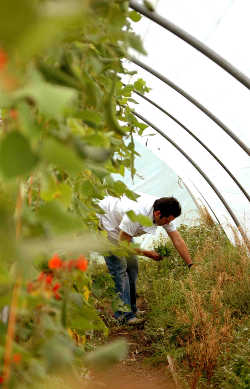 The Organic Centre