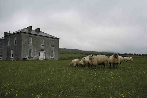 Father Ted's House