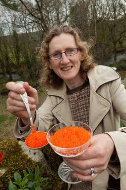 Goatsbridge Trout Caviar - Mags Kirwan