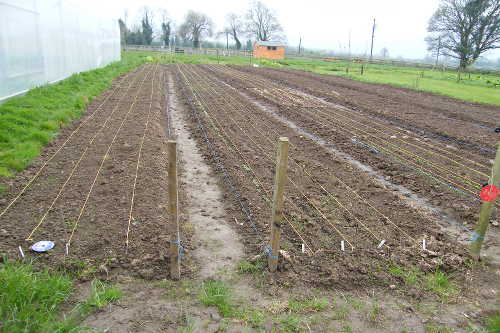 Prepared Soil on Castlefarm