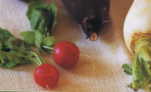 Radishes