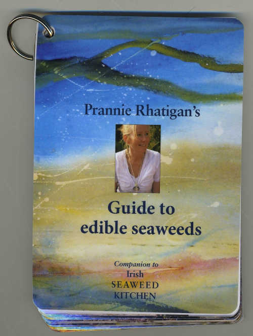 Prannie Rhatigan's Seaweed Companion
