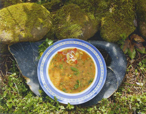 CHARD & TOMATO SOUP