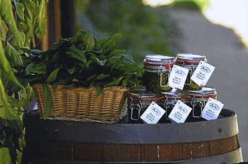 Wild Garlic Pesto