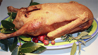 Traditional Roast Goose with Potato Stuffing and Roast Bramley Apples 