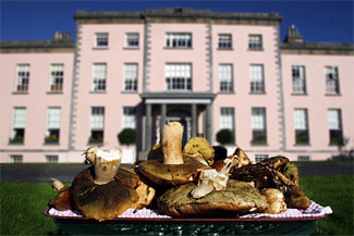 Longueville House - Mallow County Cork ireland