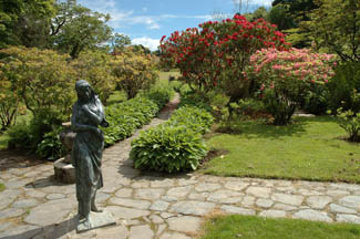 Lisselan Gardens - Clonakilty County Cork