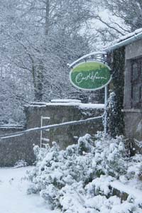 Castlefarm Athy County Kildare Ireland - Snow