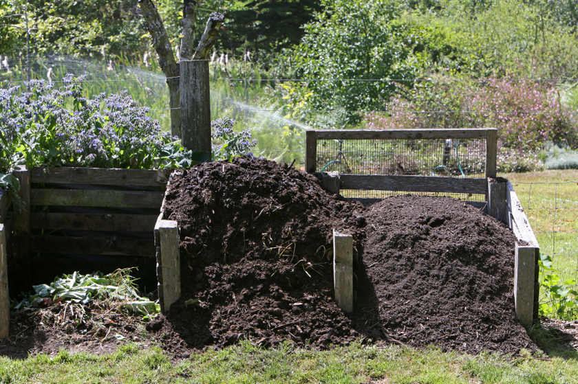 Compost