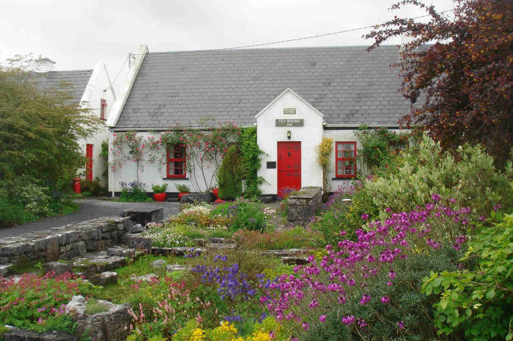 An Fear Gorta/The Tea & Garden Rooms, Ballyvaughan