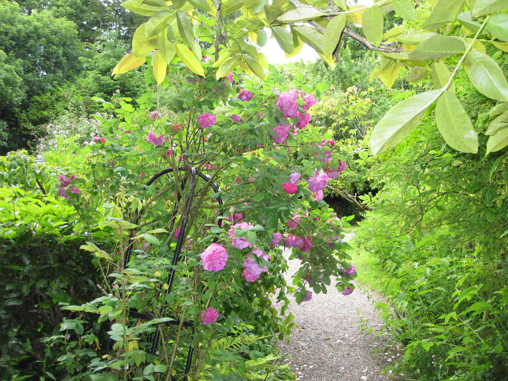 Secret Garden Path