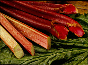 Rhubarb