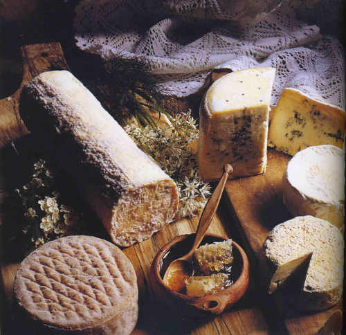 Cheeses