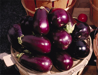 Aubergine