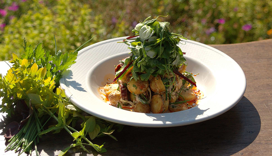 Ballyvolane Salad