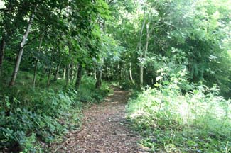 Castlecomer Discovery Park - Castlecomer County Kilkenny Ireland