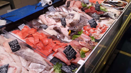 Cavistons Fish Counter