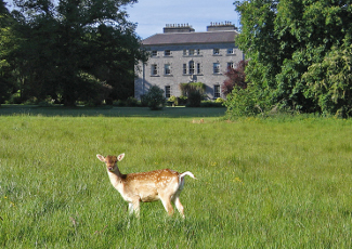 Coopershill House