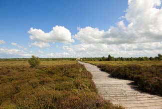 Corlea Trackway Visitor Centre - Kenagh County Longford Ireland