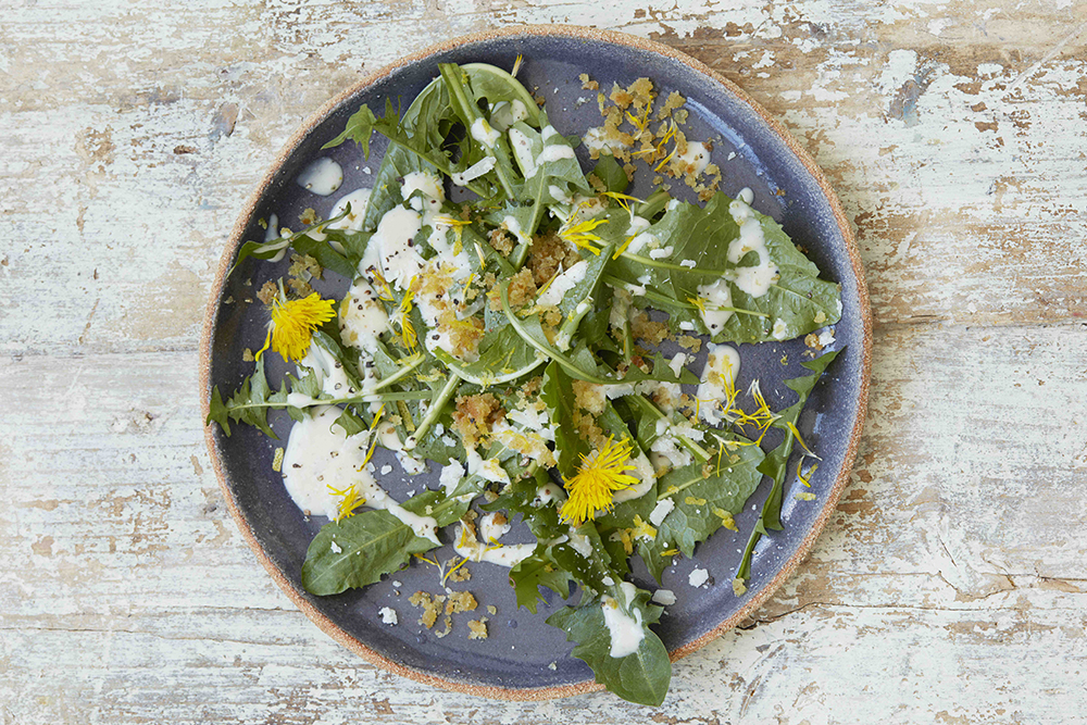 Dandelion Salad