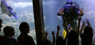 Galway Atlantaquaria - Galway Aquarium - Salthill Galway Ireland