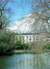 The Fitzwilliam Hotel