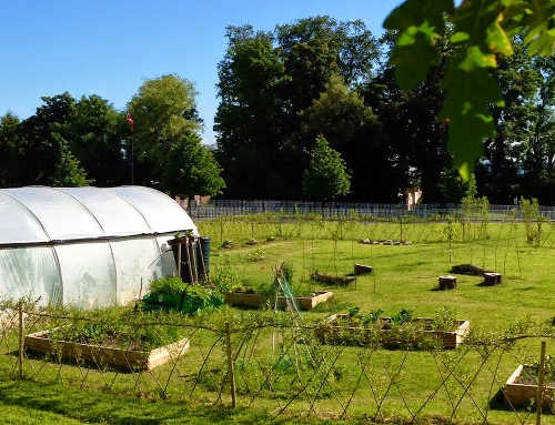 Headlands Community Garden