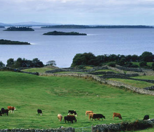 Scenic Ireland