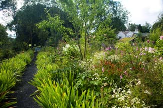 Bellefield Garden - Shinrone County Offaly Ireland