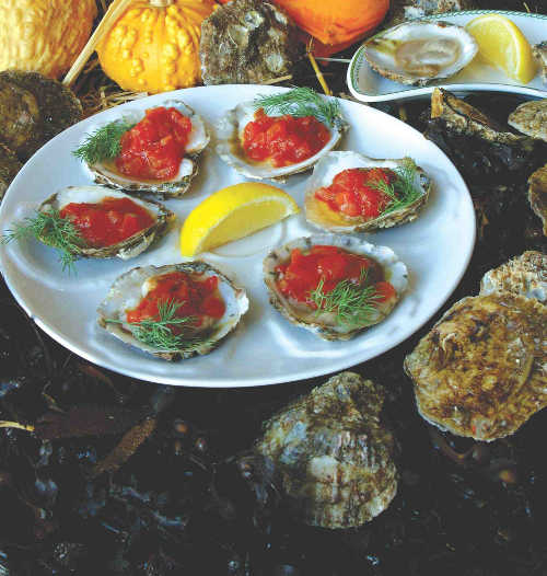 Oysters Bloody Mary