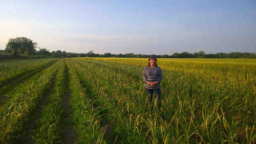 Marita Collier - Drummond House Irish Garlic