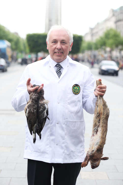 Mick Healy, Wild Irish Game