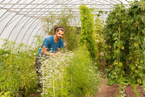 Alex Lavarde, Head Gardener at Mount Falcon Estate