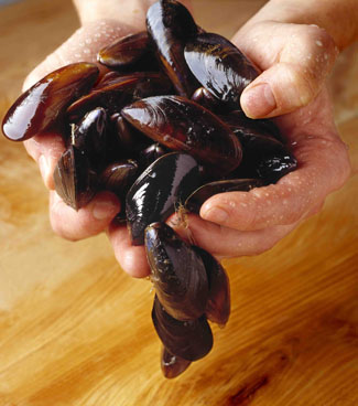 Mussels