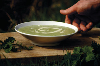 Nettle & Potato Soup