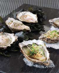 Oysters Sashimi Style