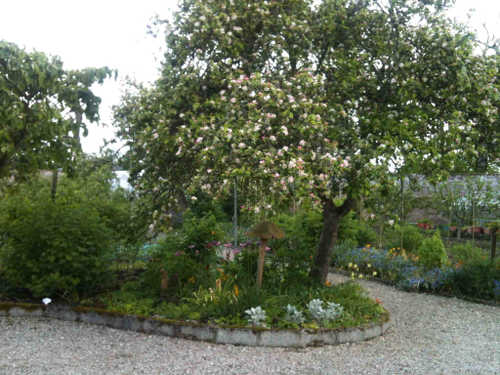 Rathmullan House - garden