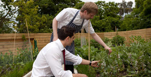 Restaurant FortyOne at Residence - Kitchen Garden