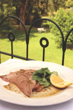 Braised Lamb with lemon and coriander