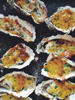 Oysters Thermidor