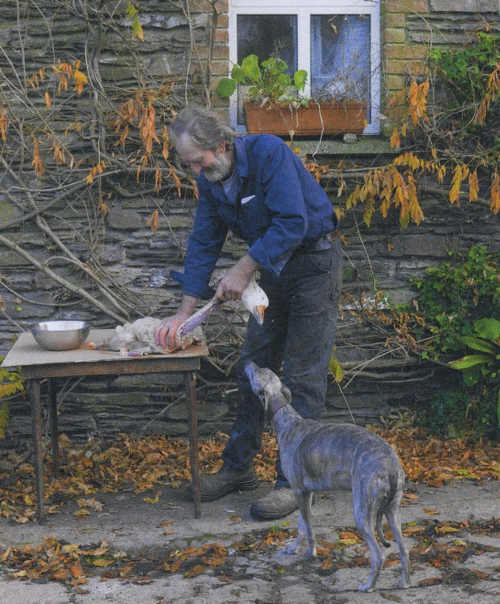 Tom Ferguson - Preparing Christmas Goose