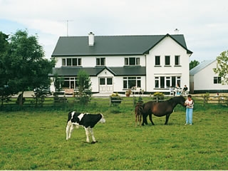 Ten of the best green destinations in Ireland