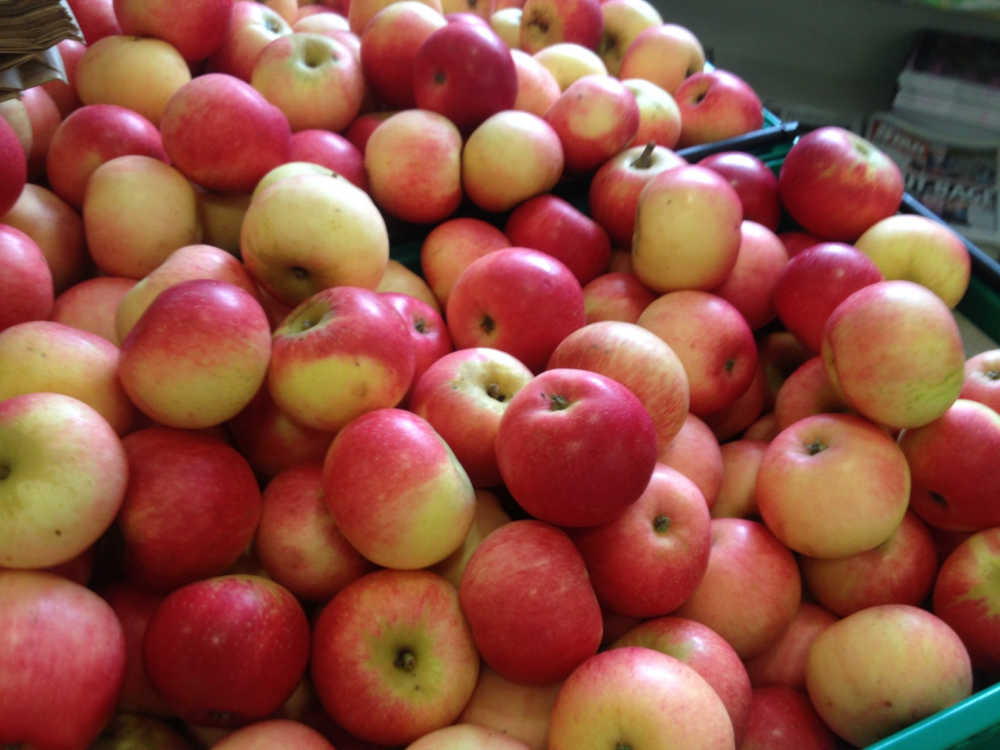 Apples in Ardkeen