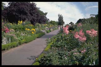 National Botanic Gardens - Dublin Ireland