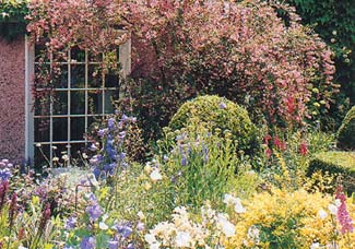 Carysfort Lodge Garden