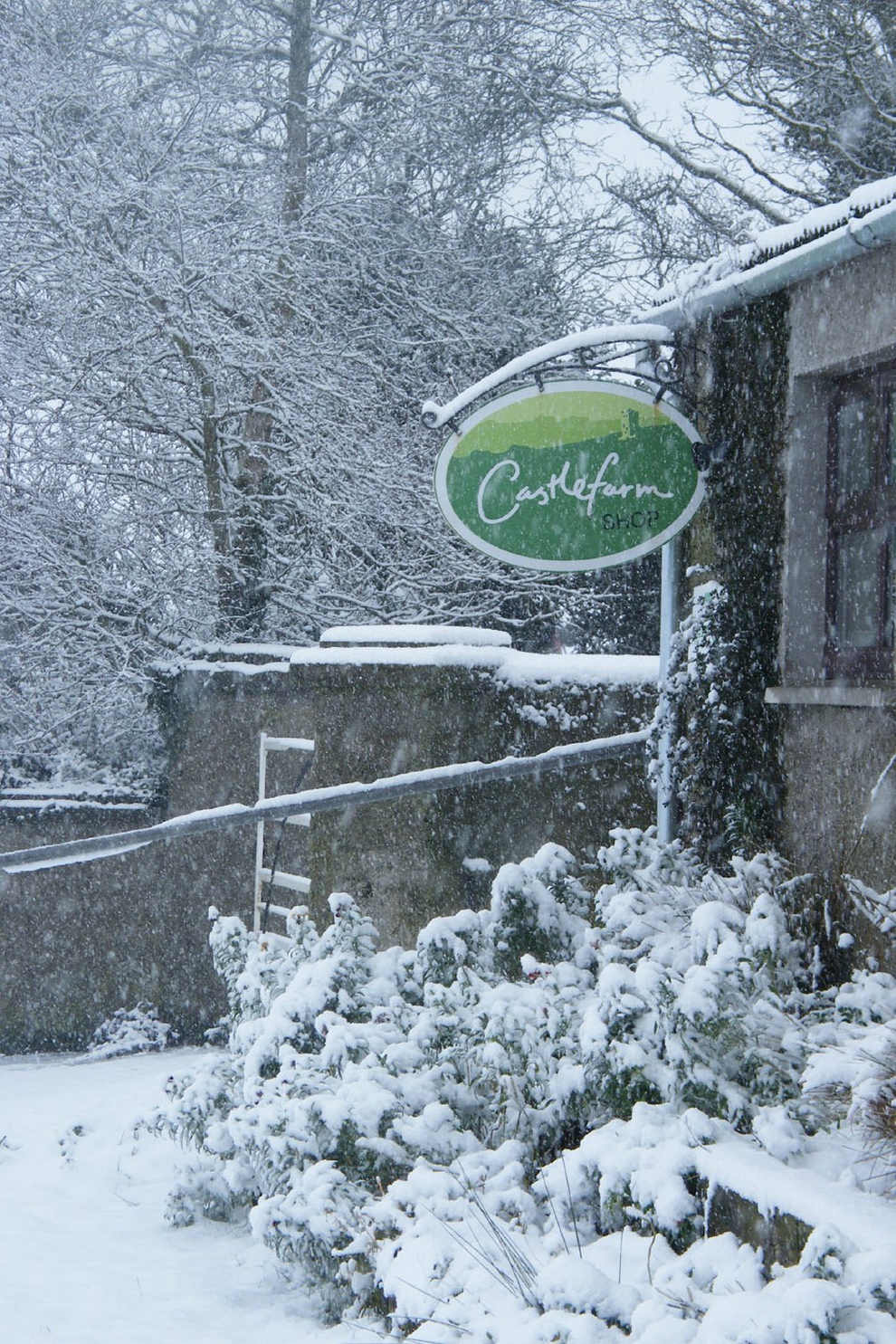 CastleFarm Shop Snow