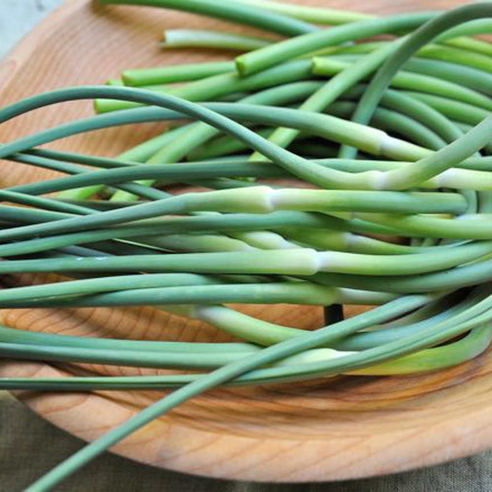 Drummond Farm Garlic Scape Pesto