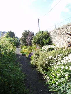 Burton Hall Garden - Border