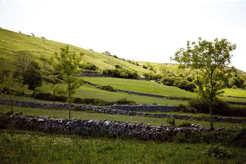 Burren Farmland