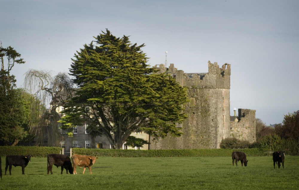 Killiane Castle Country House & Farm